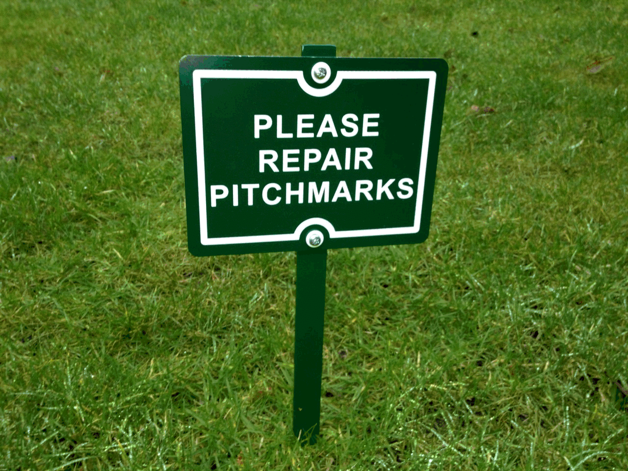 Please repair pitchmarks